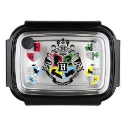 Edelstahl-Brotdose "Harry Potter" In Silber - (L)19,5 X (B)14,2 X (H)7,2 Cm