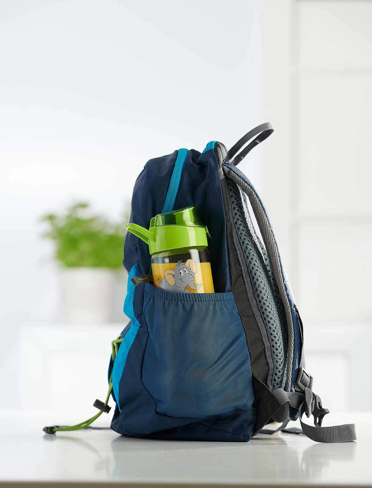 Ritzenhoff & Breker 2er Set Brotdose + Trinkflasche Happy Zoo In Bunt 6 Ritzenhoff & Breker 2er Set Brotdose + Trinkflasche Happy Zoo In Bunt – Bild 6