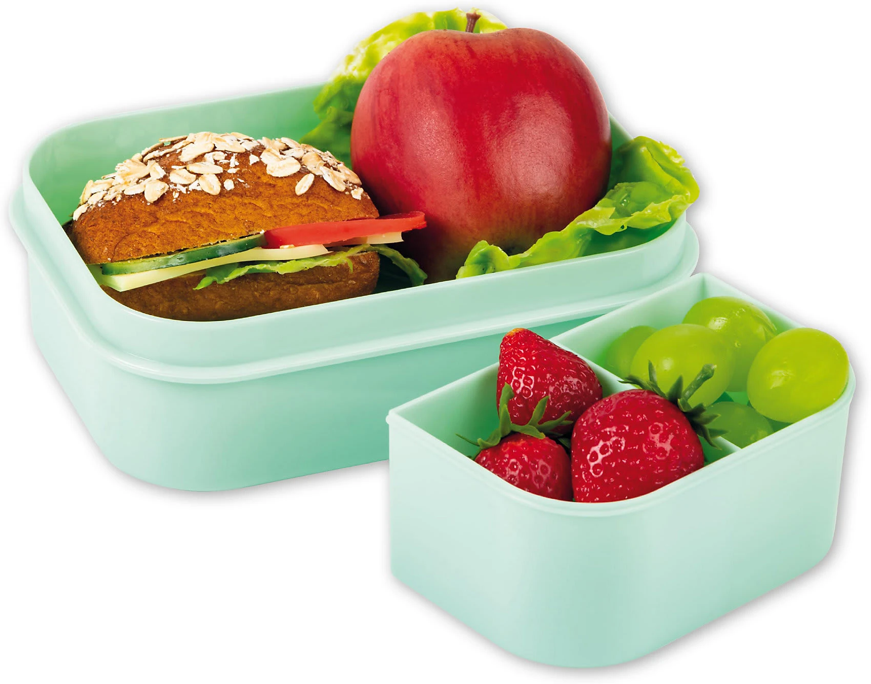 TapirElla Brotdose XL Mit Einsatz Koala 3 TapirElla Brotdose XL Mit Einsatz Koala – Bild 3